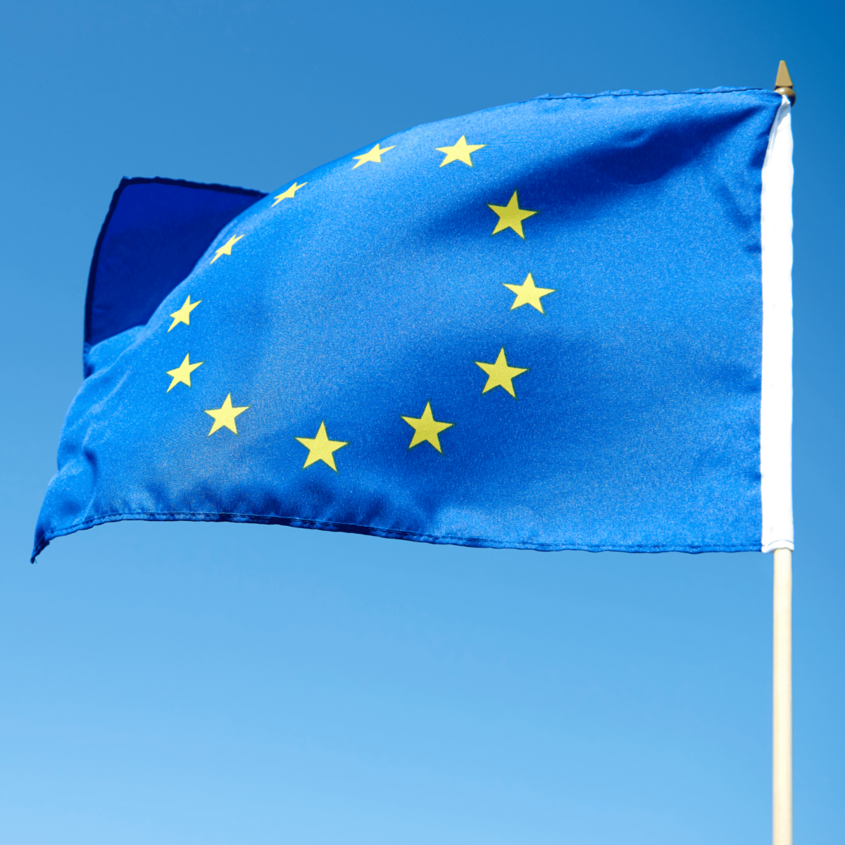 European Flag